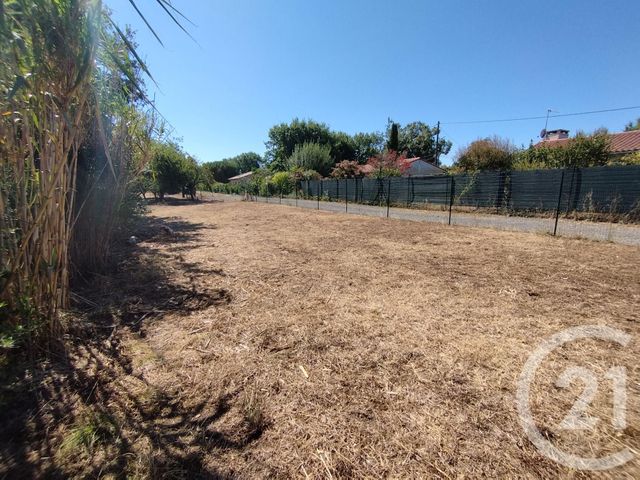 terrain - PLAISANCE DU TOUCH - 31