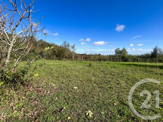 terrain à vendre - 1009.0 m2 - CUGNAUX - 31 - MIDI-PYRENEES - Century 21 Partenaire Immobilier
